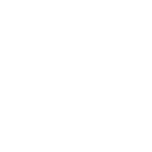 Fundación Líderes de Ansenuza
